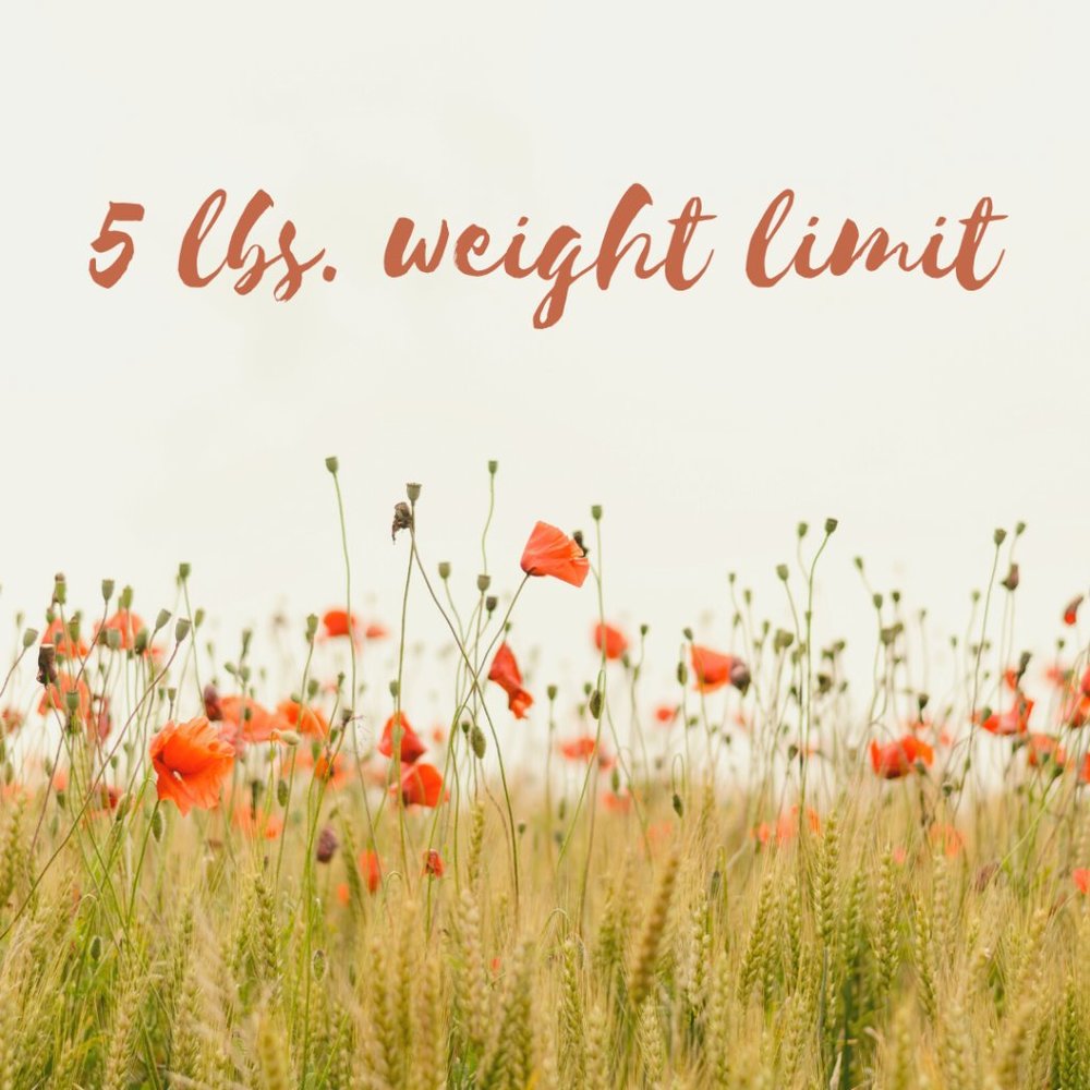 Why the 5 lbs limit on bundles?